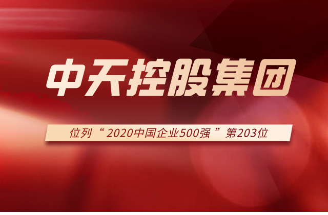 云鼎国际4118集团列2020中国企业500强第203位！